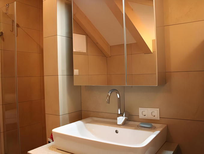 Bathroom 3, Chalet in Mittersill near Ski Slopes, Zell am See