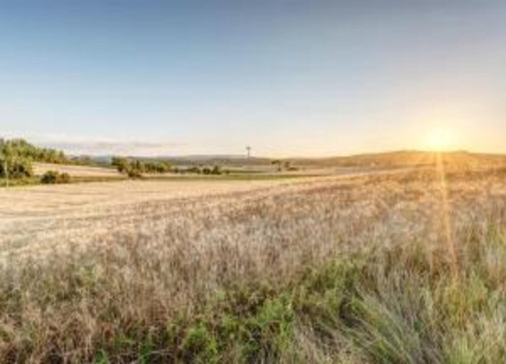 View from property 5, Modern Holiday Home in Foiano Della Chiana With Pool, Arezzo