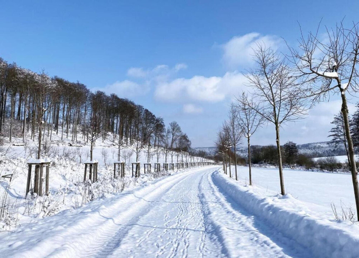 View from property 5, Holiday Home in Lderntwistetal-oberwaro With Sauna, Waldeck-Frankenberg
