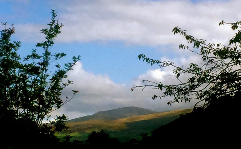 Others 5, OYO Baytree Lodge, Gwynedd