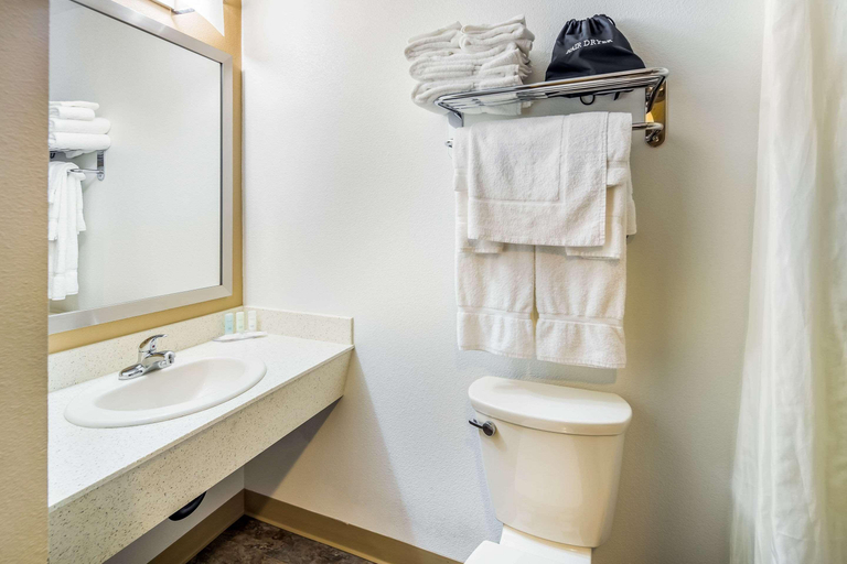 Bathroom 5, Clarion Hotel Suites Fairbanks, Fairbanks North Star