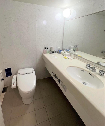 Bathroom 2, ホテル辰巳俱楽部, Ichihara