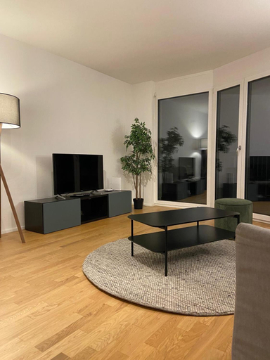 Others 2, Apartments in Zelgstrasse-Zurich, Zürich