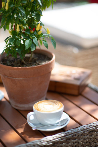 Food & Drinks 5, Die Finca, Fulda
