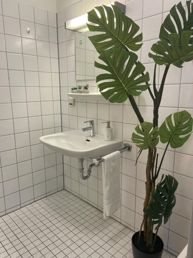 Shower 5, Hossi-Rathaus, Kempten (Allgäu)