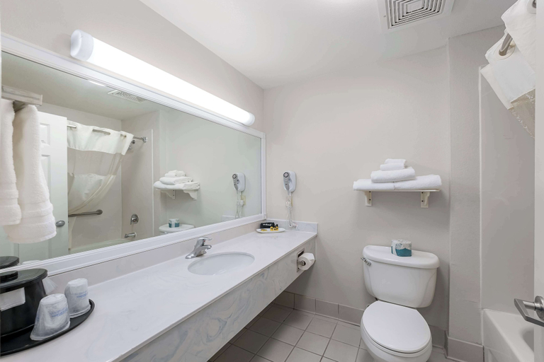 Bathroom 4, SureStay Plus Hotel by Best Western Billings, Yellowstone