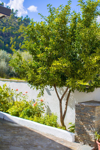 Sport & Beauty 2, Berat River House Boutique Hotel, Beratit