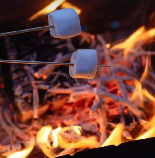 Food & Drinks, Dragon's Den Glamping Retreat, Anglesey