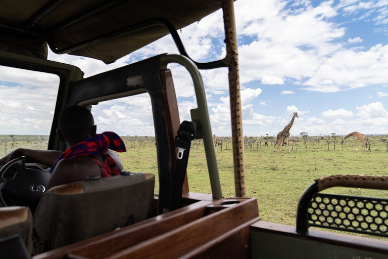 Others 5, Basecamp Adventure, Narok West