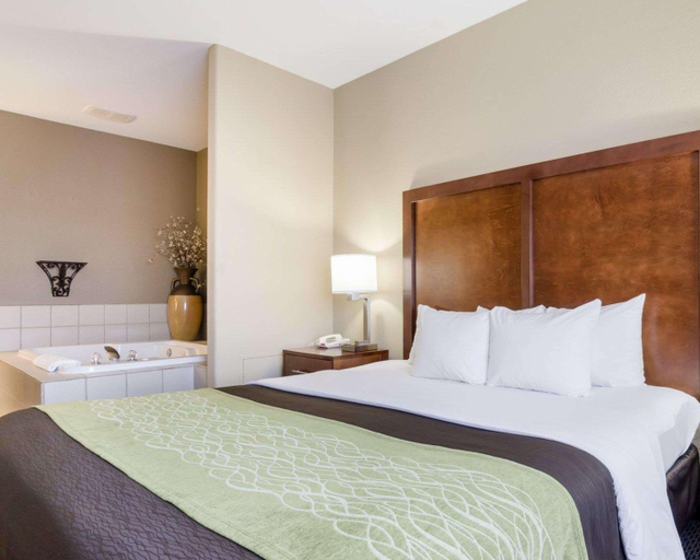Bedroom 3, Comfort Inn Garden City Area, Finney