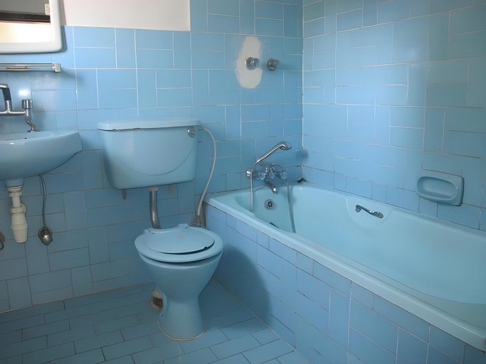 Bathroom 5, Hotel Green Park, Gandaki