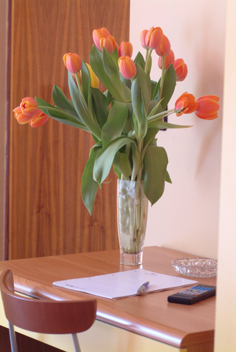 Others 5, Hotel San Geminiano, Modena