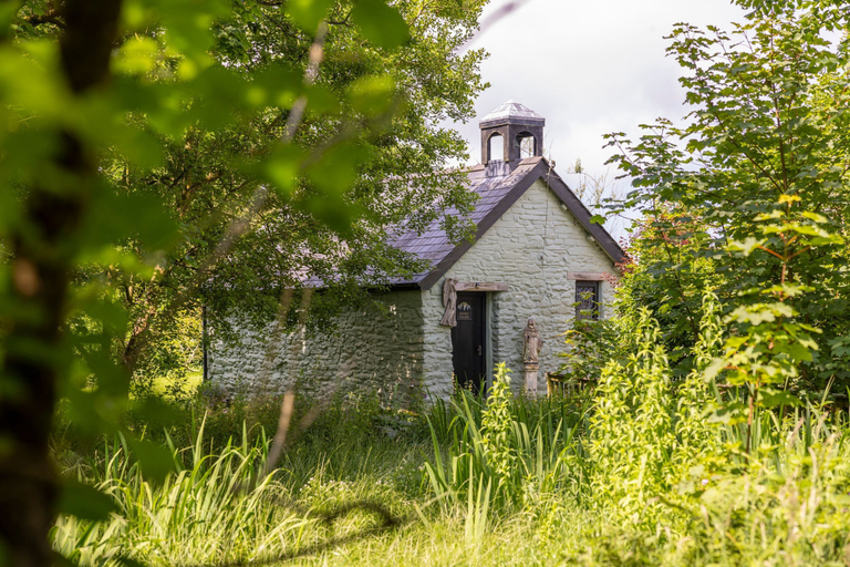 Room 4, Cowslip at Gorslwyd - Sound Retreat, Ceredigion