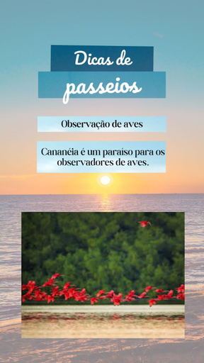 Others 3, Pousada Ancoradouro, Cananéia