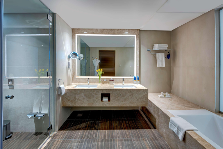 Bathroom 5, Radisson Blu Hotel, Ajman, Ajman
