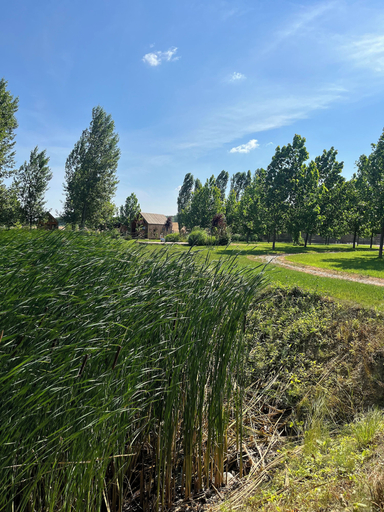 Others 5, Ritopia Glamping, Novi Sad