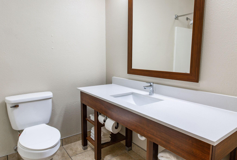 Bathroom 4, Comfort Inn Piketon near Fairgrounds, Pike