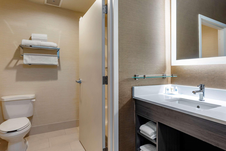 Bathroom 5, Comfort Inn & Suites North Dallas-Addison, Dallas
