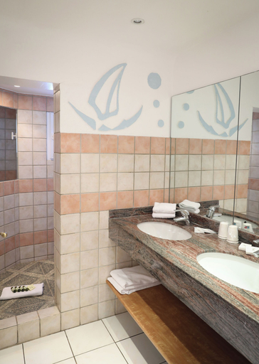 Bathroom 4, Hôtel Les Flots Bleus, Var