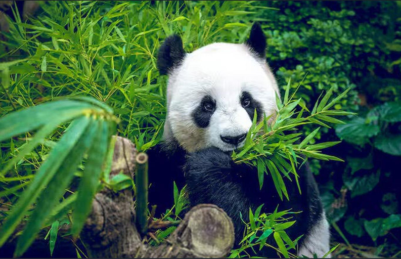 Others 3, Howard Johnson by Wyndham LIfe Xindu Chengdu, Chengdu