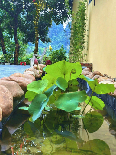 Sport & Beauty 2, Tràng An Sunny River Homestay, Hoa Lư