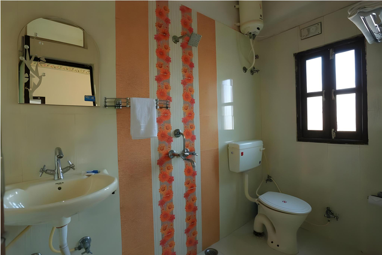 Bathroom 4, Janak Niwas, Udaipur