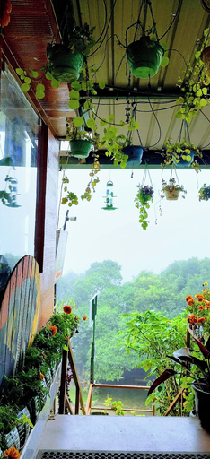 Others 5, THE KODAI HAVEN, Dindigul