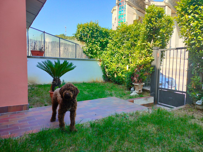 Exterior & Views, Lillo Home, Isernia