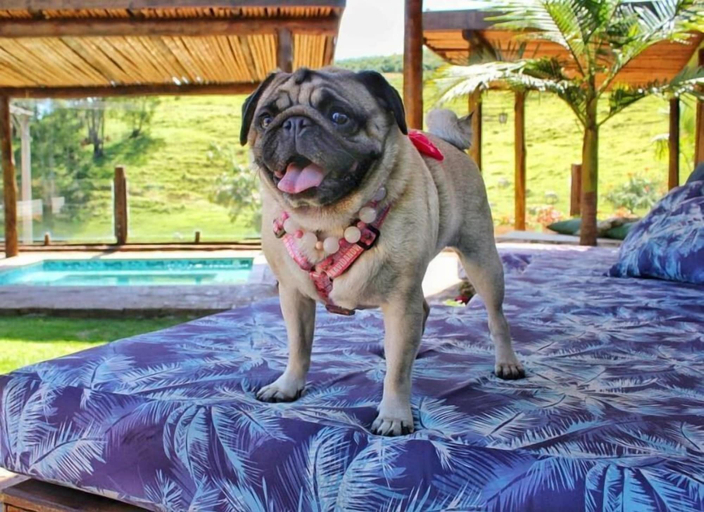 Others 4, Villa Ayê Pousada Petfriendly, Socorro