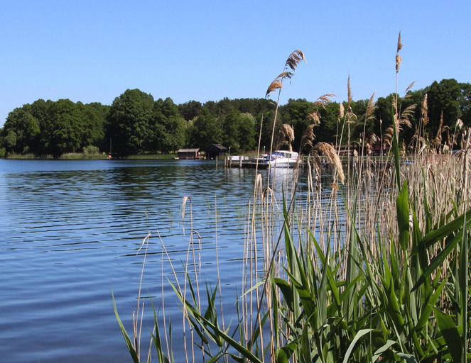 View from property 3, Ferienhaus am Oase am Vilzsee, Mecklenburgische Seenplatte