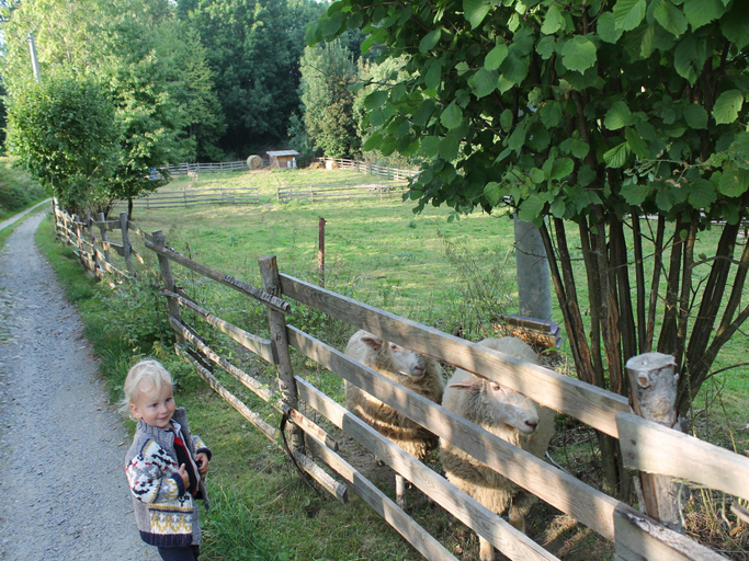 Others 5, Holiday Home Milire near Bohemian Forest, Tachov
