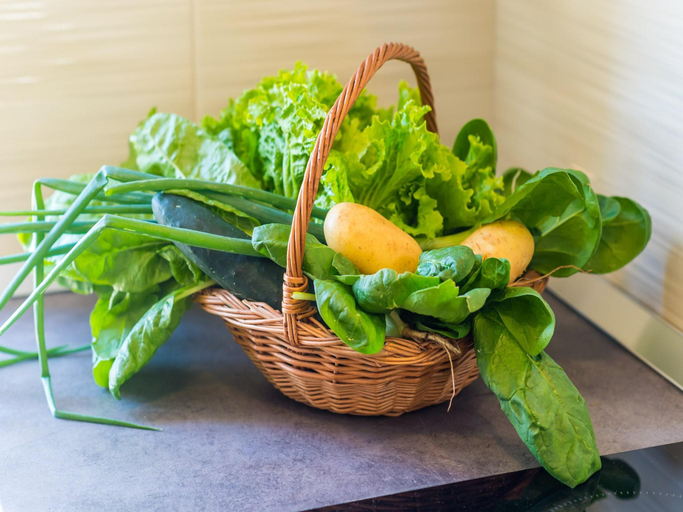 Food & Drinks 4, Apartment Rooms Mazdin - Triple Room with Balcony and Sea View Soba More, Dubrovačko Primorje