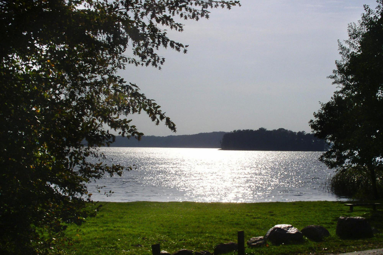 Others 4, Ferienhaus, Dolgen am See, Rostock