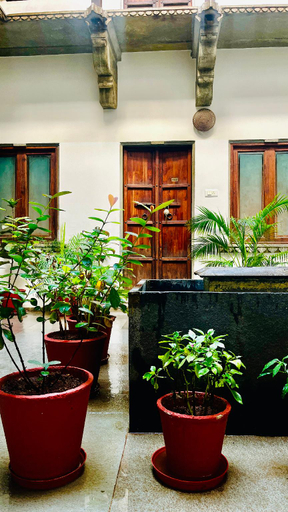 Public Area 2, Madri Haveli, Udaipur