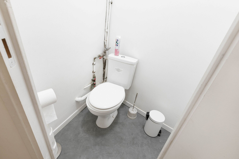 Bathroom 3, Marais Renard, Paris