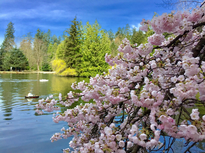 Others 4, Burnaby Metrotown Cozy 3 Bedroom Suite, Greater Vancouver