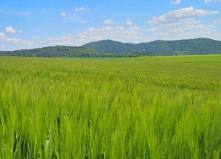 View from property 4, Holiday Home in Lderntwistetal-oberwaro With Sauna, Waldeck-Frankenberg
