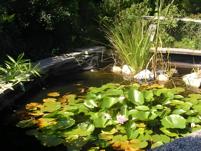 Others 2, Wohnung in Silbecke mit Pool und Wald, Olpe