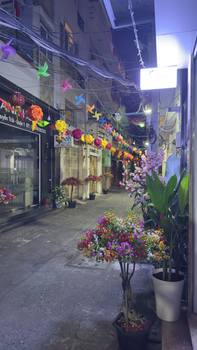 Others 5, Chip Homestay & Studio, District 1