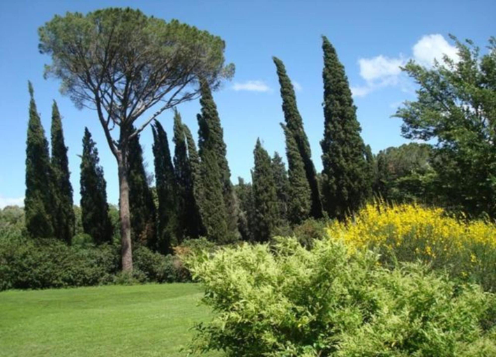 View from property 5, Tuscan Holiday Home With Pool, Siena
