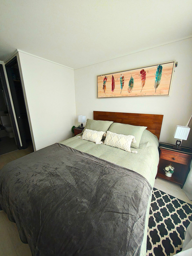 Others 3, Vicuña Urban Stay, Cordillera
