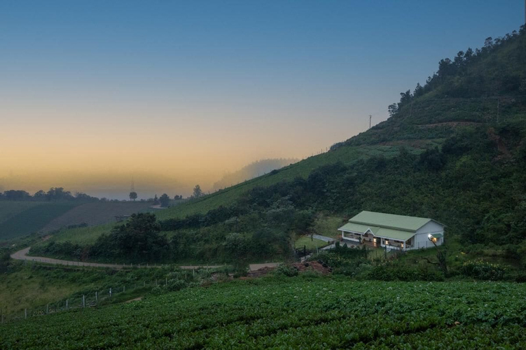 Others 4, Emerald by nature resorts & stays, The Nilgiris