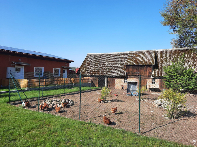 View from property 4, Ferienwohnung am Oase am Vilzsee, Mecklenburgische Seenplatte