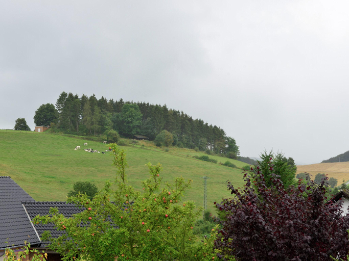 Others 4, Wohnung in Heringhausen mit eigener Terrasse, Waldeck-Frankenberg