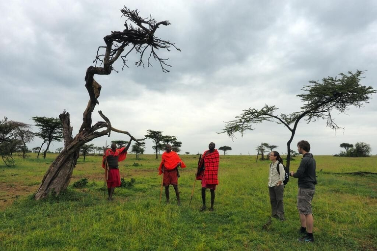 Others 4, Basecamp Wilderness, Narok West