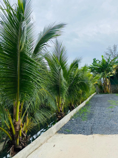 Others 4, Jhen House, Phuket Island