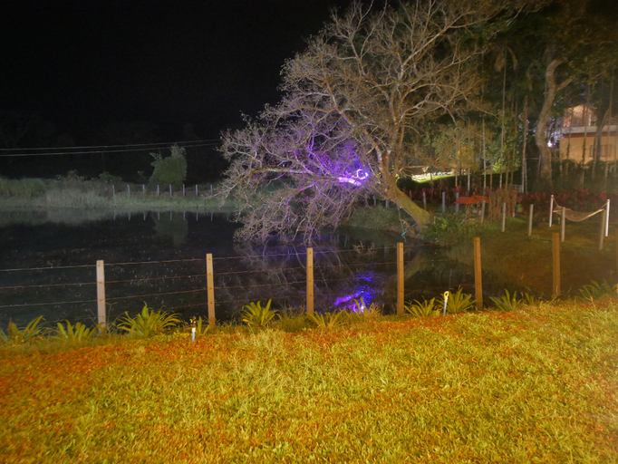 Others 4, The Windchimes Retreat , Kodagu