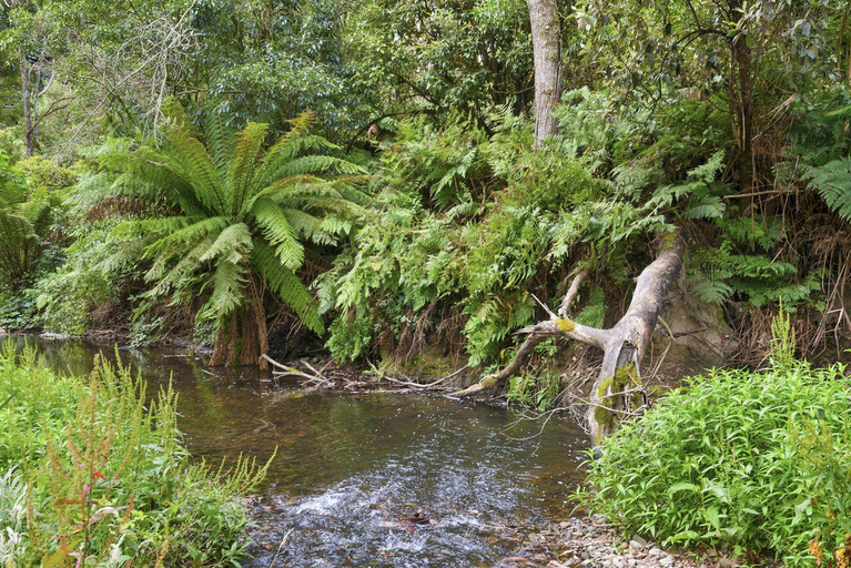 Others 3, A Little Touch Of Paradise, Colac-Otway - South