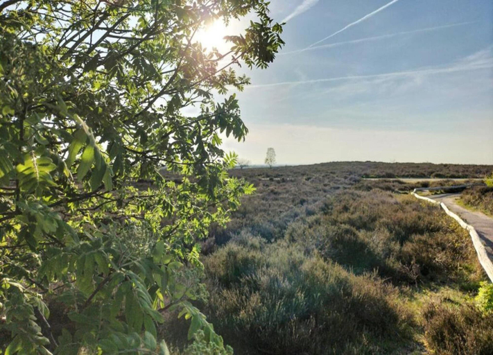 View from property 4, Holiday Home in Haarle Near Sallandse Heuvelrug, Hellendoorn