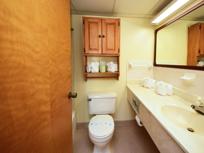 Bathroom 4, Holiday Sands South, Horry